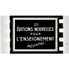 Démographie. 3059. La France ne doit pas être un pays de fils uniques et de célibataires.