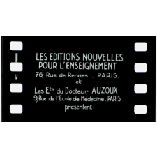 L'Homme. IX. L'oeil, la langue.