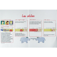 Les otites.