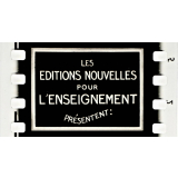 La vie ménagère. VI. Les Poissons.