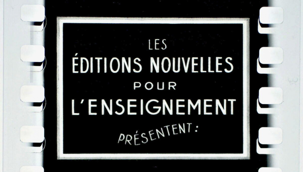 Les Invertébrés. V. Sauterelle et cigale. 10102.