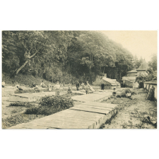 Oeuvre des Pupilles de l'Ecole Publique de Seine-et-Marne - Les Pressoirs-du-Roi - Culture des Primeurs.