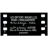 L'Homme. VIII. Le système nerveux.