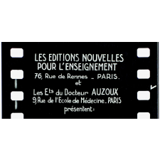 L'Homme. VIII. Le système nerveux.