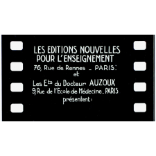 L'Homme. VII. Le crâne et les dents.