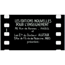 L'Homme. IV. Appareil respiratoire.