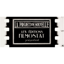 La Peau de crocodile. VI.