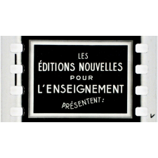 Démographie. 3058. Conséquences de la dénatalité.