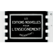 Les Mémoires d'un âne. III.