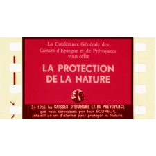 La Protection de la nature. L'environnement.