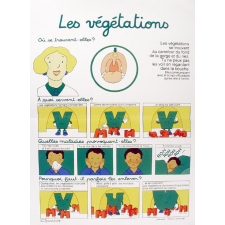 Les végétations.