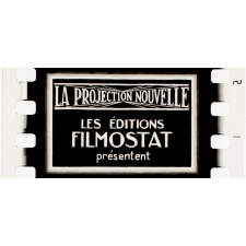 La Fièvre Z. VIII.