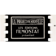 La Fièvre Z. VII.