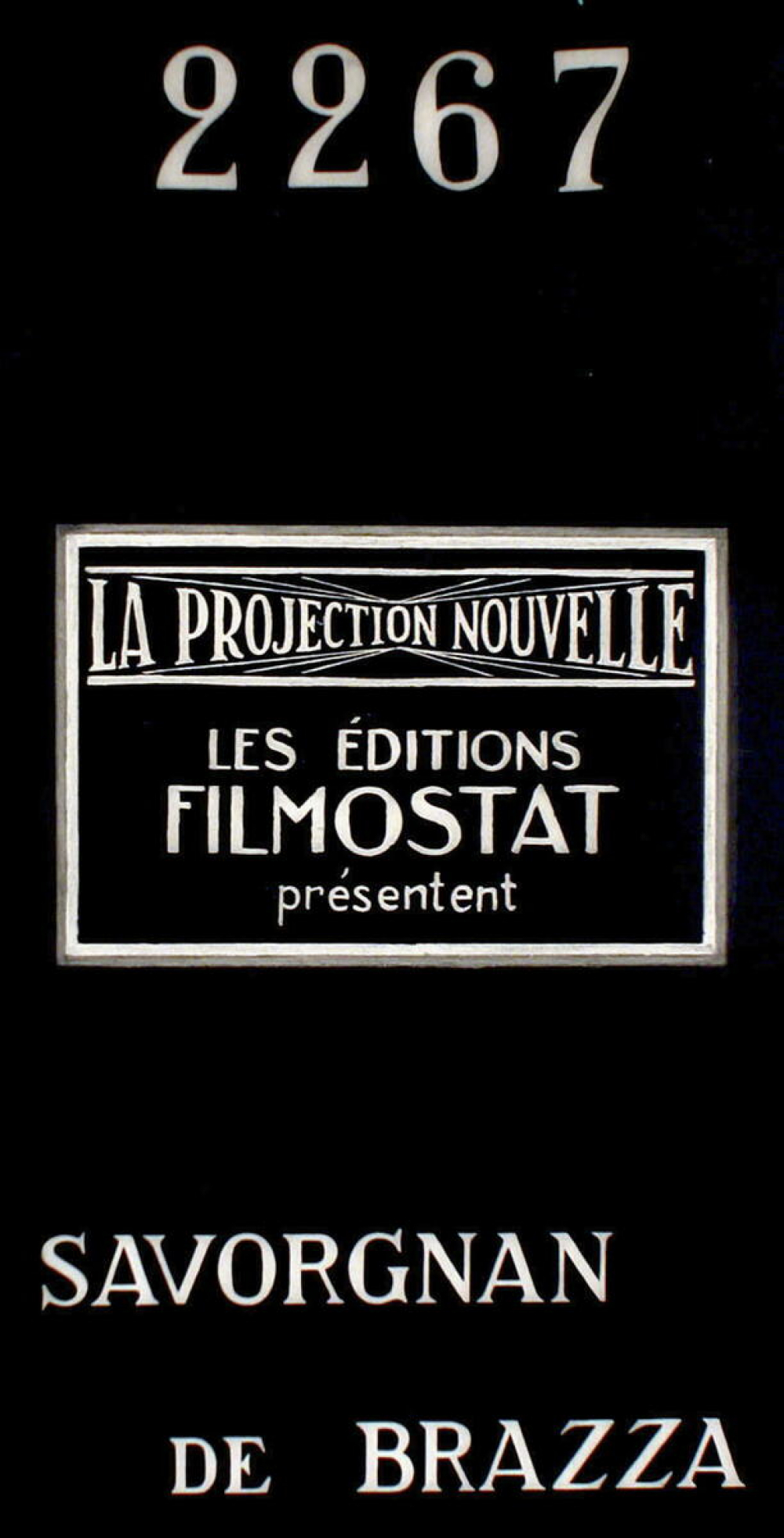 Savorgnan de Brazza. VII. La lutte pour le Congo.