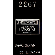 Savorgnan de Brazza. VII. La lutte pour le Congo.