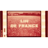 Lin de France.
