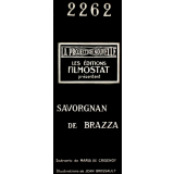 Savorgnan de Brazza. II. La vocation de Pierre de Brazza.