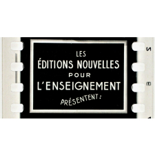 Démographie. 3056. Enseignement démographique.