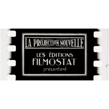 La Peau de crocodile. V.