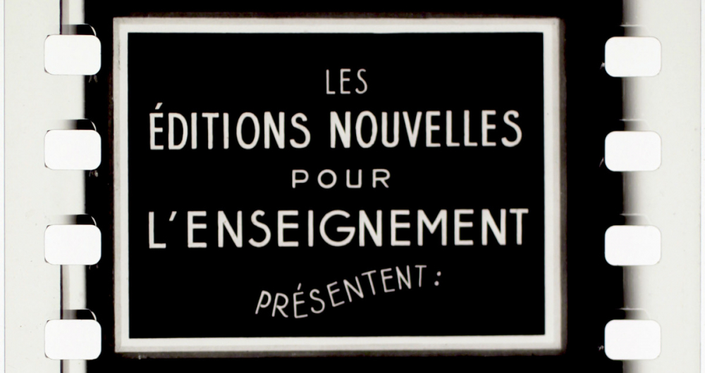 Petites et grandes cultures. 8. Légumes fruits.