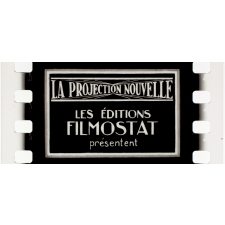La Peau de crocodile. IX.