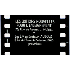L'Homme. VI. Les os et le squelette. 1093.