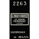 Savorgnan de Brazza. III. Mission pour le continent noir.