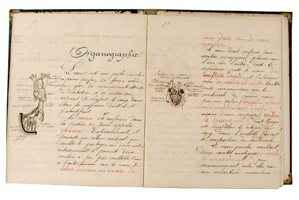 Cahier de sciences naturelles. Histoire naturelle. Petit séminaire & collège diocésain de Saint-Lo. 