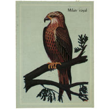 Milan royal.