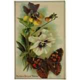 Images à collectionner. Thème: les fleurs et les papillons.