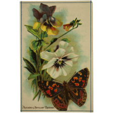 Images à collectionner. Thème: les fleurs et les papillons.