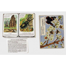 Jeu des Familles : Papillons et insectes.