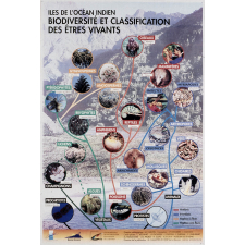 Iles de l'Océan Indien - Biodiversité et classification des êtres vivants.