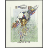 Coupe du monde de football. 