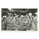 7 - Suresnes - École de plein air Permanente - Leçon de jardinage - (Beaudoin et Lods, Architectes).