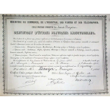 Certificat d'Études pratiques industrielles. 