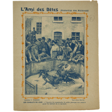 Les combats de coqs - L'Ami des Bêtes