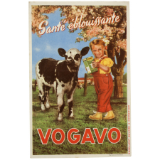 Buvard publicitaire. Vogavo, santé éblouissante.