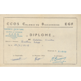 Diplôme de Natation 50 mètres