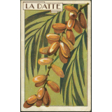 La datte
