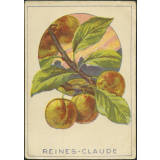 Reines-claude