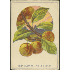 Reines-claude
