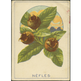 Nèfles