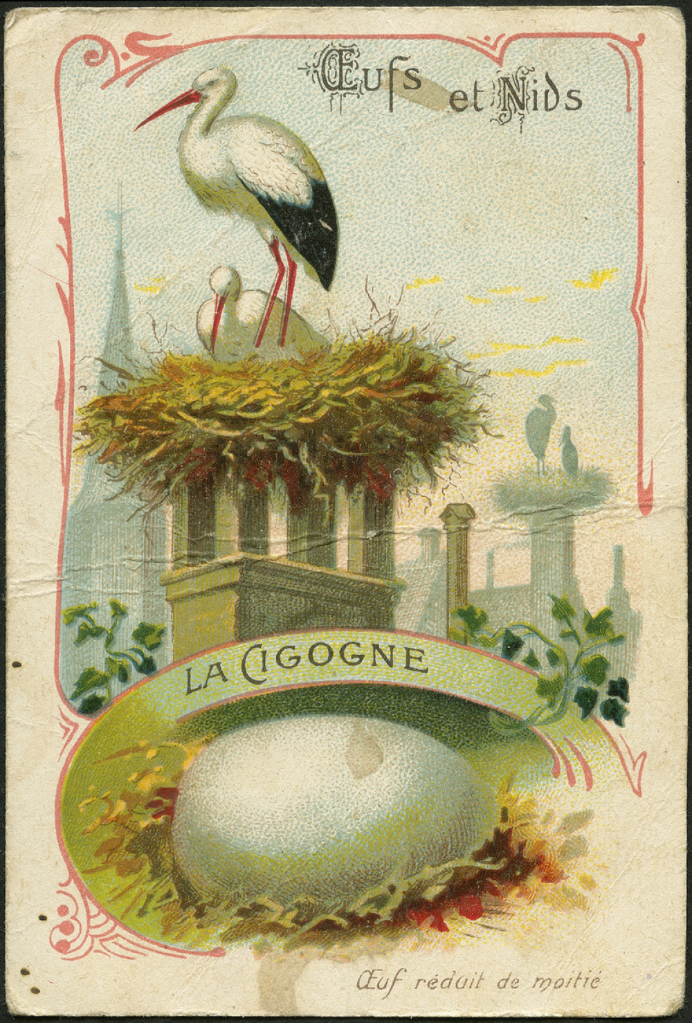 La cigogne