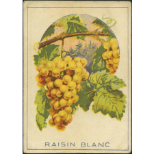 Raisin blanc