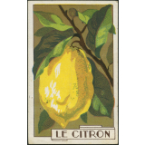 Le citron