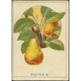 Poires