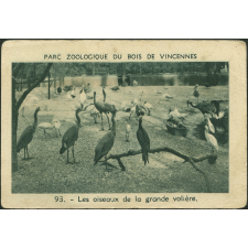 Les oiseaux de la grande volière