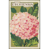L'hortensia