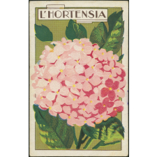 L'hortensia